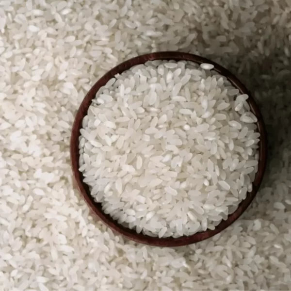 Rice